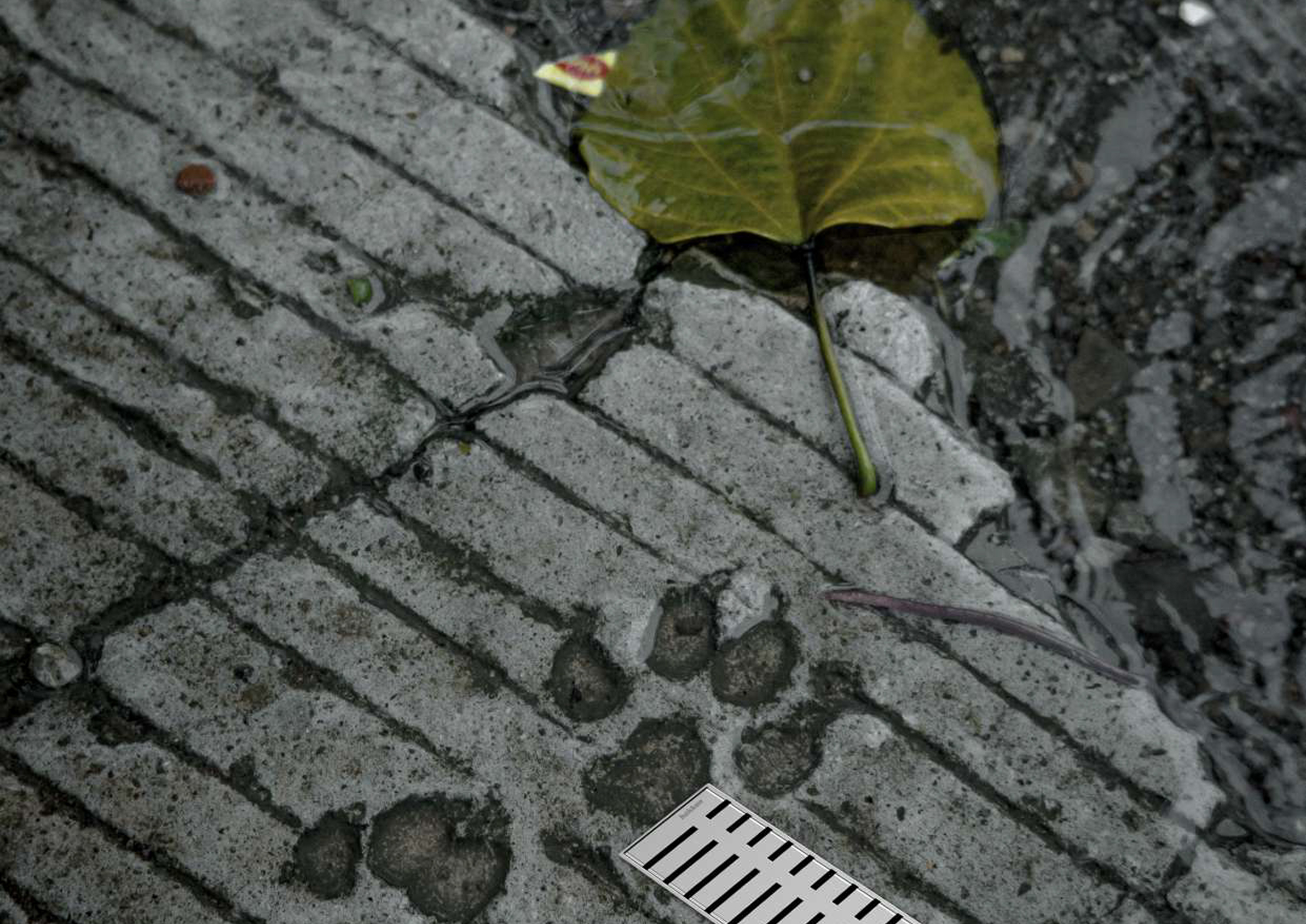 HEKKEN Surface